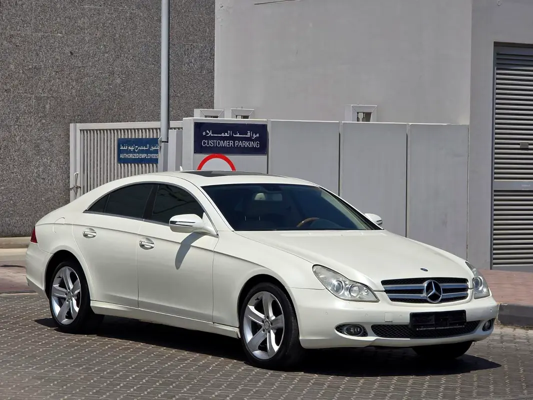 Mercedes-Benz CLS-Class 2009 — photo 1 of 6