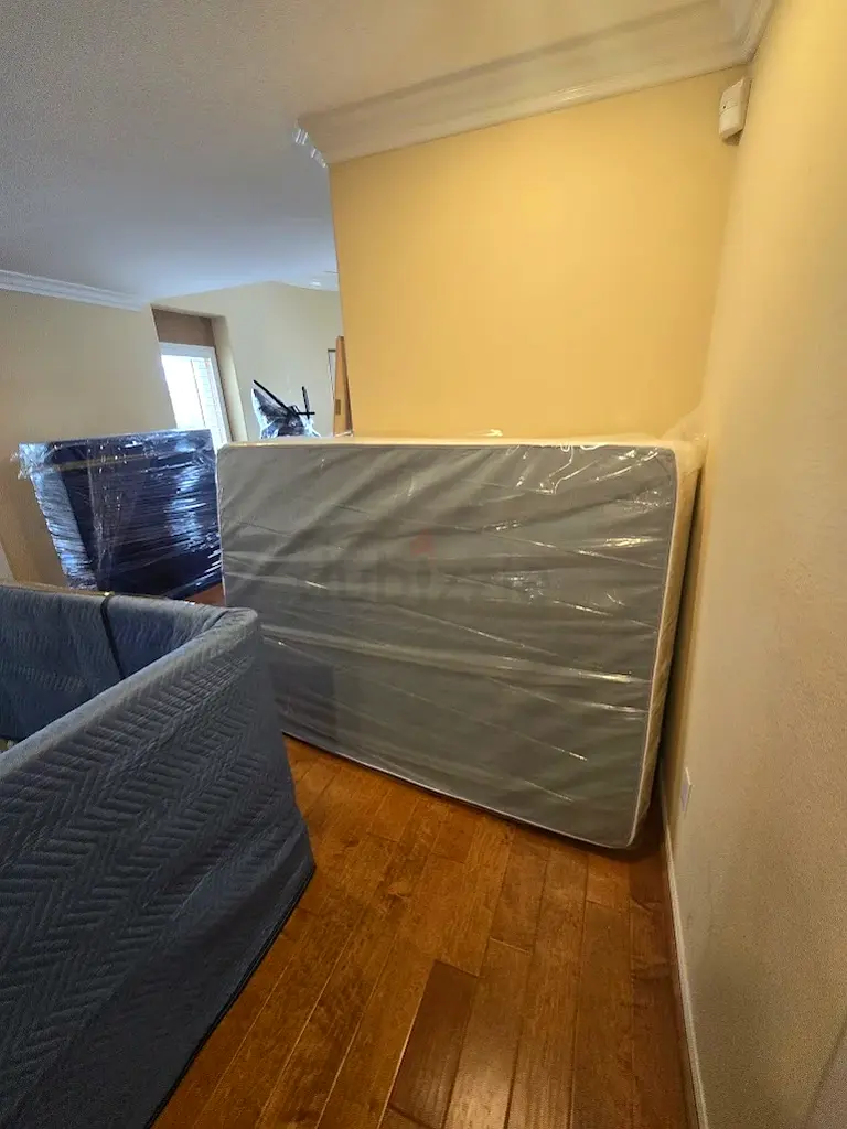 DPV_View_Image_5