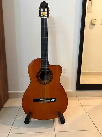 Guitar for sale