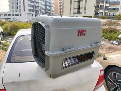 Large Plastic Pet Carrier / Travel Crate for Dogs or Cats