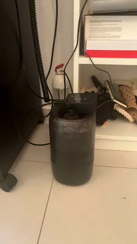 Built in water system, cage, hygro system, real and fake plants, real branches, uvb and heat lamps