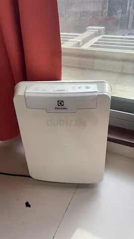 Electrolux Portable Dehumidifier - Compact and Working