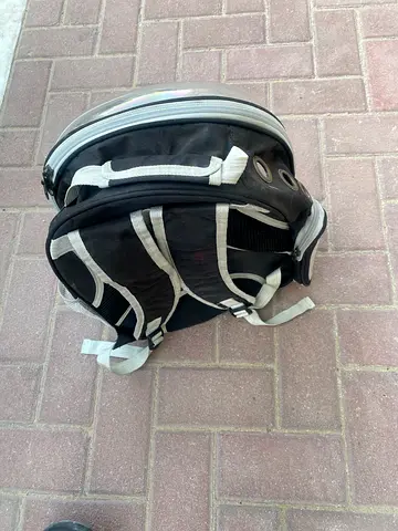 cat accessories for loves cats