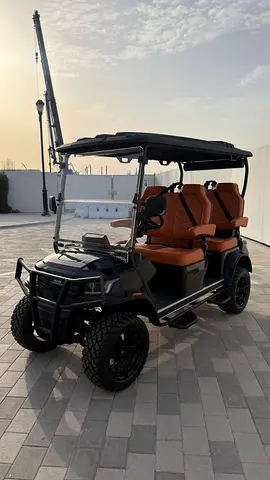 MTM GOLF BUGGY - high spec!