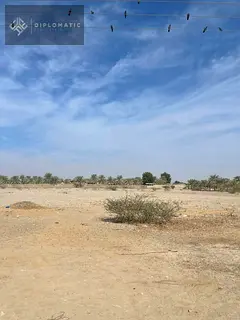 Al Madfaq Mixed Use Land Opportunity-200K a year!