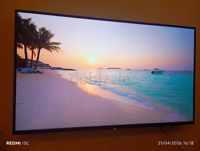 Flat panel LED TV - 55 (good condition)