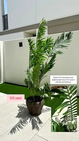 Tall Artificial Palm Plant in Wicker Basket - Good Condition 160cm