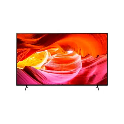 Sony BRAVIA 65 inch