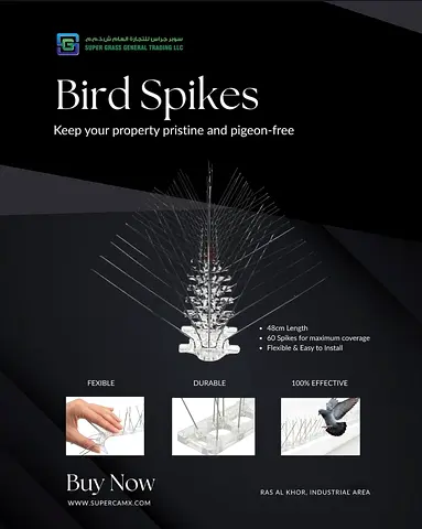 Bird Spikes