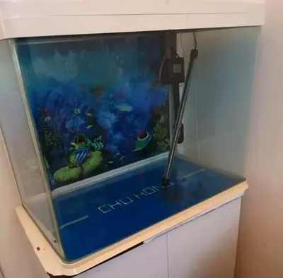 Fish tank for sale