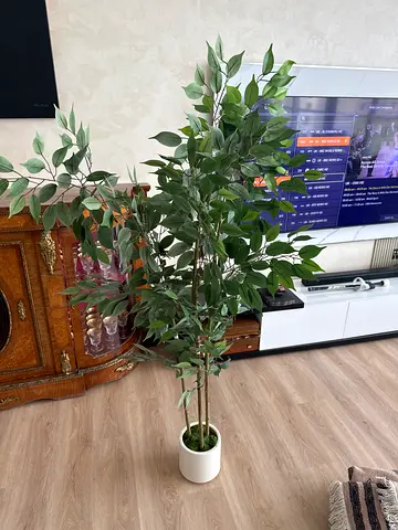 Tall artificial ficus tree in white pot – good condition