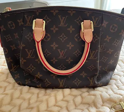 Louis Vuitton Monogram Handbag