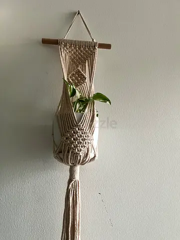 plants