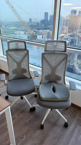 Office chair (2 pieces)