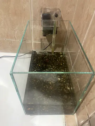 Glass Aquarium with Soil and Filter