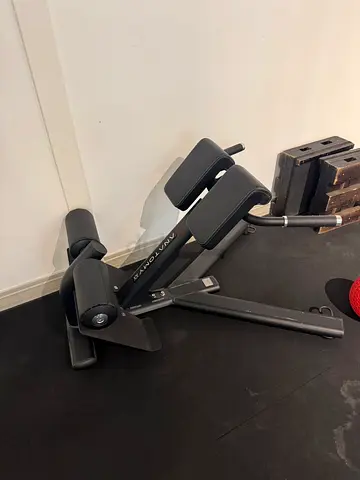 Anatomy Ab Crunch / Roman Chair — Good Condition