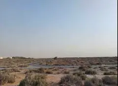 Prime Industrial Land with Strong Rental Demand in Ajman