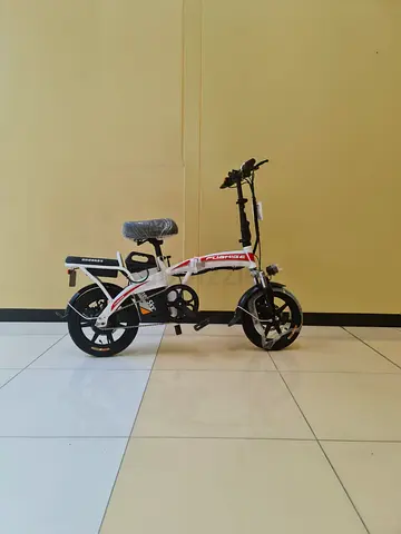 Double seater bike with removable battery with free delivery in Dxb