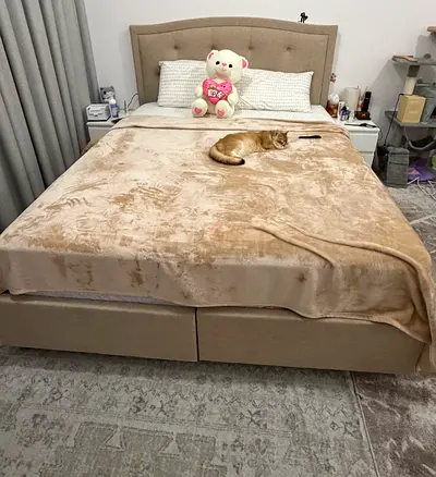 Queen size upholstered bed frame with headboard — beige