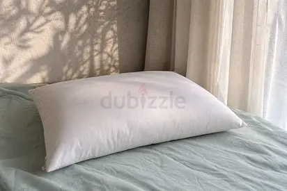 Two 75x50 Cannon Pillows