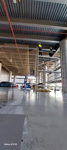 Bird control / Bird repellent. مكافحة الطيور - التخلص من الطيور