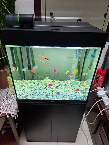 Juwel Lido 120 Litres Aquarium