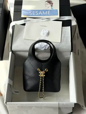 Chanel bag for women