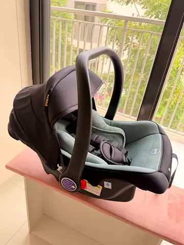 Lightly Used Infant Car Seat - Rear-Facing, Cozy and Safe