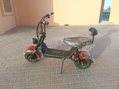 Fat tyre scooter 48 v
