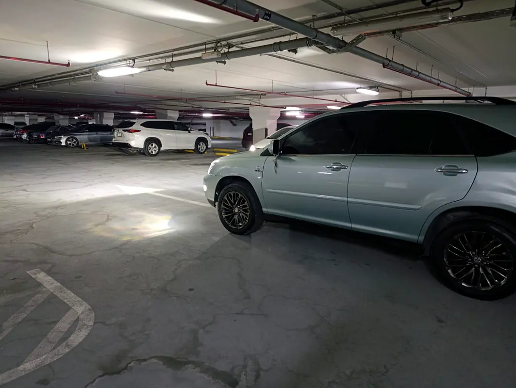 Lexus RX-Series 2008 — photo 1 of 12