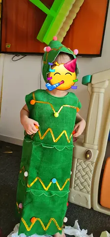 Green Christmas Tree Costume with CAP for Child up to 2-6 years unisex