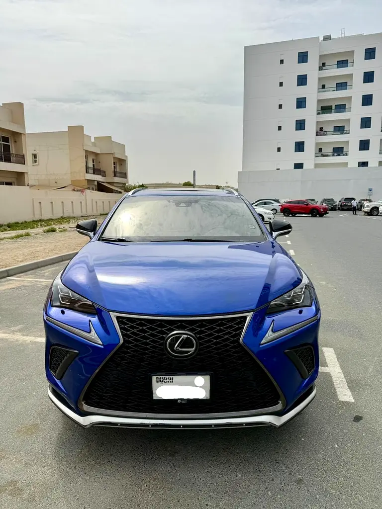 Lexus NX-Series 2018 — photo 1 of 12