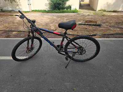 Bicycle or cycle for adult