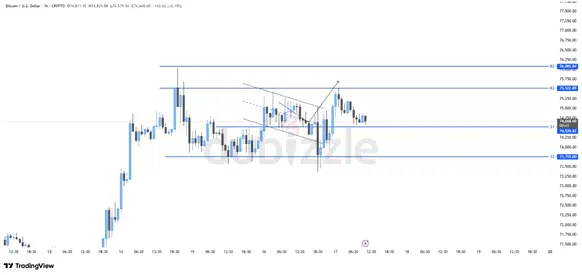 Are you looking for investment