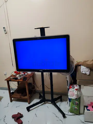 Philips 54 Flat Panel TV on Adjustable Stand - Working (Blue Screen shown)