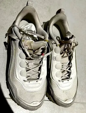 Nike Chunky Sneakers (Beige / Cream)