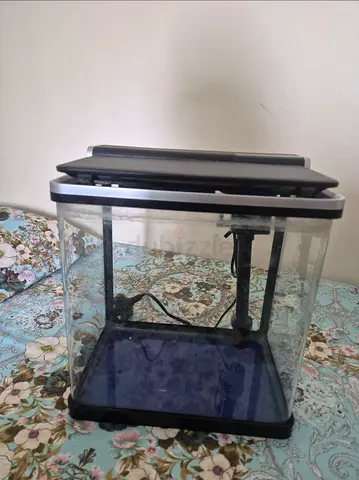 Small Glass Aquarium Tank with LED Hood and Filter (Used)
