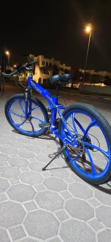 Sole gear foldable bike