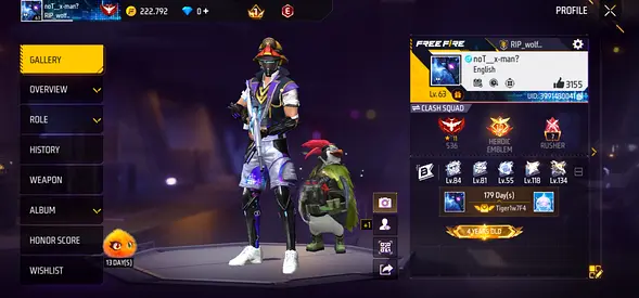 Free Fire Account with High-Level Character, Skins  Ranked Progress