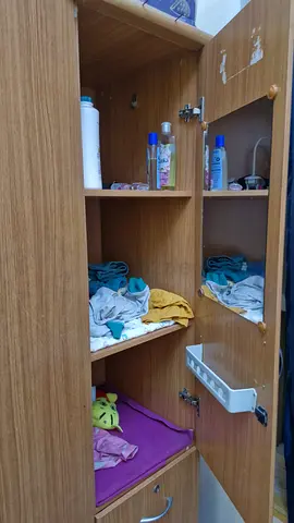 Almirah wardrobe