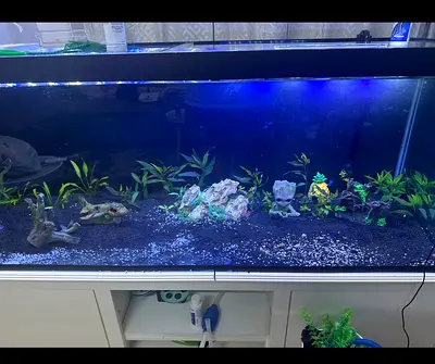 180cm Freshwater Aquarium Tank with Stand, LED Light and Decorations