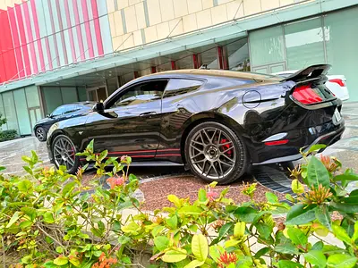 Ford Mustung with Very low Mileage   All perfect Condition