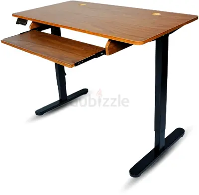 Electric Height Adjustable Desk, 120x60cm Gaming Desk, Sit-Stand Computer Desk for Home Or Office
