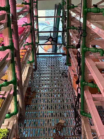 Fully Equipped Vertical Hydroponic Farm — Operational  Ready | Abu Dhabi