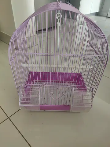 Birds cage