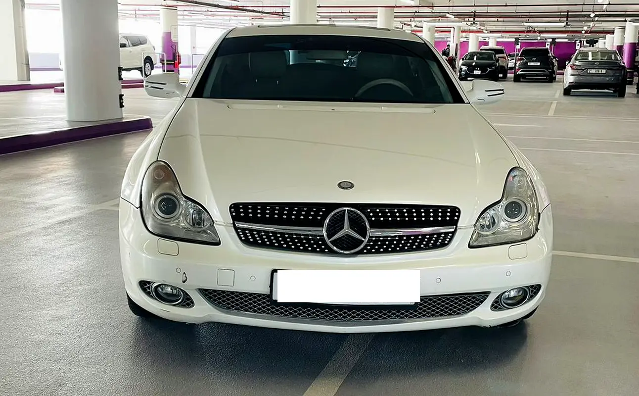 Mercedes-Benz CLS-Class 2010 — photo 1 of 8