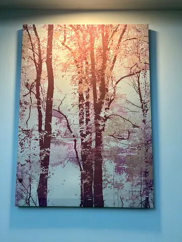 Framed Tree Canvas Wall Art — Woodland Print