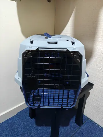 Pet Carrier L58xW38xH33