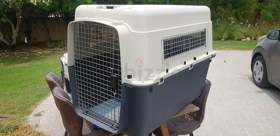 Dogs and cats carriers for air travel