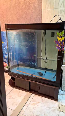 Large Curved Glass Fish Tank with Wooden Stand and Cabinet